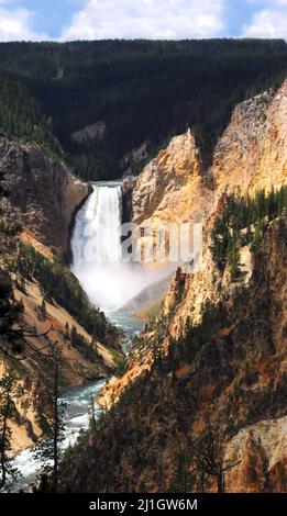 L'immagine del paesaggio mostra le Lower Falls e il fiume Yellowstone nel parco nazionale di Yellowstone. Le ripide pareti del canyon sono tingialle e arancioni. Foto Stock