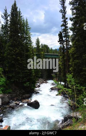 Lake Creek viaggia sotto il ponte autostradale sulla Beartooth Scenic Byway. Il ponte è verde. Foto Stock