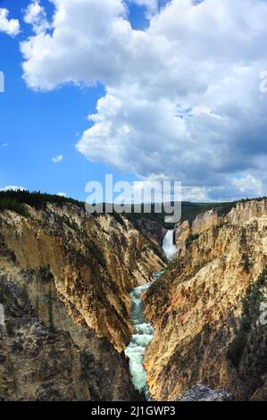 Ripide pareti del canyon incorniciano il Yellowstone Rivein 'il Grand Canyon del Yellowstone', nel Parco Nazionale di Yellowstone. Lower Falls e grande clou bianco Foto Stock