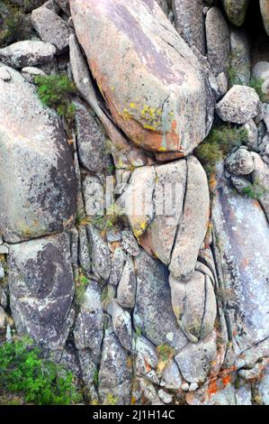 Boulder si arrampicano sui lati delle Sandia Mountains nel New Mexico. La vegetazione sparsa cresce da crepe. Foto Stock