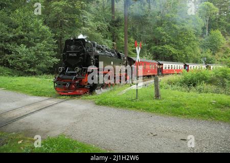 Harzer Schmalspurbahn all'incrocio a livello illimitato a Wernigerode, Sassonia-Anhalt, Germania Foto Stock