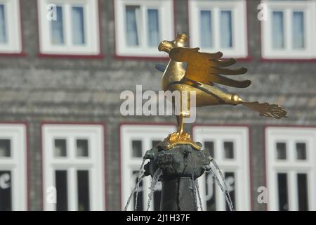 Animale araldico e aquila imperiale sulla piazza del mercato di Goslar, bassa Sassonia, Germania Foto Stock