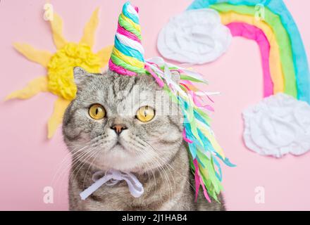 Gatto unicorno su sfondo rosa in un abito. Arcobaleno corno, carino gattino look, abilità, tenerezza, amore, favola e amore per i gatti Foto Stock