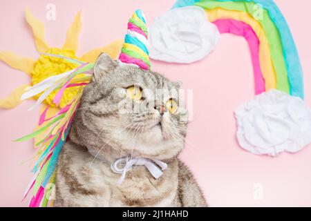 Gatto unicorno su sfondo rosa in un abito. Arcobaleno corno, carino gattino look, abilità, tenerezza, amore, favola e amore per i gatti Foto Stock