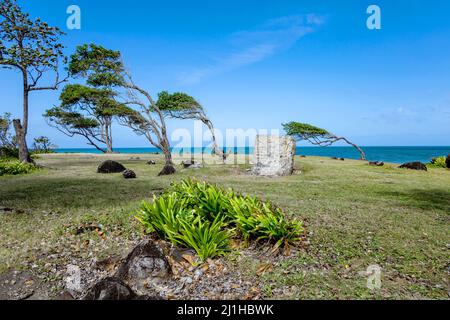 Costa settentrionale, Pointe Allegre, basse-Terre, Guadalupa, Antille minori, Caraibi. Foto Stock