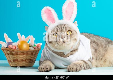 Gatto di Pasqua con orecchie conigliate con uova di Pasqua. Gattino carino Foto Stock