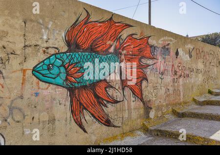 Graffiti di pesce sul muro a sali Dugi Otok Croazia Foto Stock