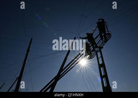 Tettnang, Germania. 24th Mar 2022. I lavoratori del raccolto dell'agricoltore del luppolo Ludwig Locher attaccano i fili alle funi di collegamento in un campo di luppolo in modo che il luppolo possa crescere. A causa della mancanza di pioggia, il suolo si è asciugato fuori. (A dpa 'Corona speranza e le preoccupazioni di guerra tra gli agricoltori luppolo nel sud-ovest') Credit: Felix Kästle/dpa/Alamy Live News Foto Stock