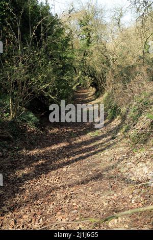 Il Nailbourne senza acqua da Rose Lane, Bishopsbourne, Canterbury, Kent, Inghilterra, Regno Unito Foto Stock
