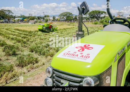 Nueva Ecija, Filippine. 25th Mar 2022. (220326) -- NUEVA ECIJA, 26 marzo 2022 (Xinhua) -- Un agricoltore lavora presso il Philippine-sino Center for Agricultural Technology (PhilSCAT) nella provincia di Nueva Ecija, nelle Filippine, il 25 marzo 2022. Le Filippine stanno raccogliendo i frutti della sua collaborazione agricola con la Cina per aumentare la fornitura di cibo e salvaguardare la sicurezza alimentare nel paese, ha detto il Segretario all'Agricoltura William Dar venerdì. Dar ha fatto le osservazioni in una cerimonia che ha segnato l'inaugurazione di nuovi laboratori di allevamento presso il Centro filippino-sino per la tecnologia agricola (PhilSCAT) in Foto Stock