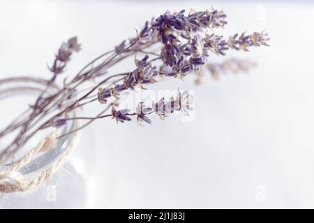 Lavanda viola essiccata in bottiglia di vetro con spago su sfondo bianco. Piccolo bouquet carino di essicato. Vista dall'alto Foto Stock