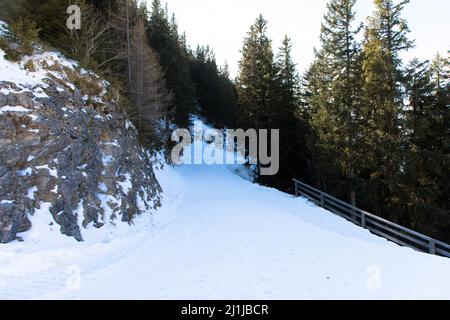 Pista da sci sul monte Zwölferhorn a St. Gilgen, Salzkammergut alta Austria, area sciistica e sentiero escursionistico. Foto Stock