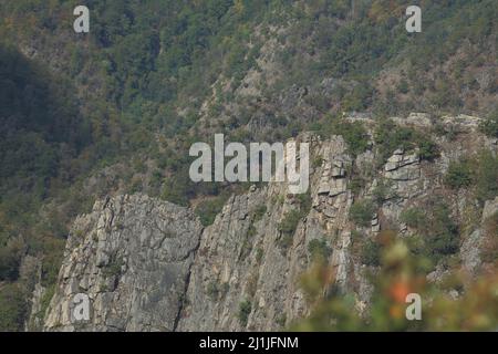 Vista di Roßtrappe da Hexentanzplatz a Harz, Sassonia-Anhalt, Germania Foto Stock