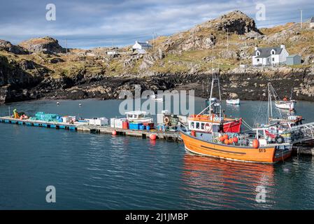 Barche a Stockinish Harbour, Isola di Harris, Scozia Foto Stock