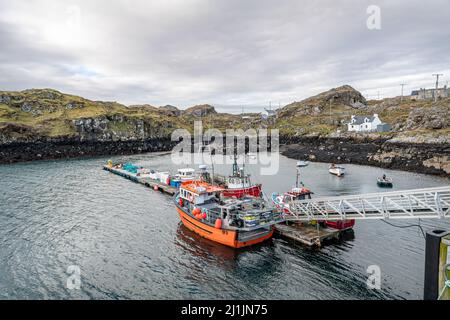 Barche a Stockinish Harbour, Isola di Harris, Scozia Foto Stock