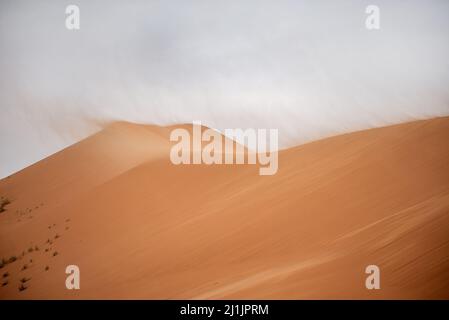 Vento forte (harmattan) che soffia sabbia dalle dune del deserto, Valle Bianca, Regione di Adrar, Mauritania Foto Stock