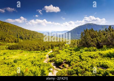 Bella giornata di sole è nel paesaggio di montagna. Carpazi, Ucraina, l'Europa. Bellezza Mondo. Foto Stock