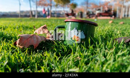 Tazza di caffè verde caldo e foglie d'autunno in piedi sull'erba nel parco in una mattinata fredda. Messa a fuoco selettiva su tazza e foglia. Foto Stock