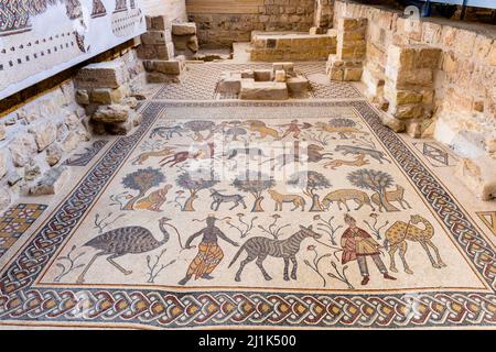 Mosaici colorati all'interno della Chiesa commemorativa di Mosè, il Monte Nebo, Giordania. Foto Stock