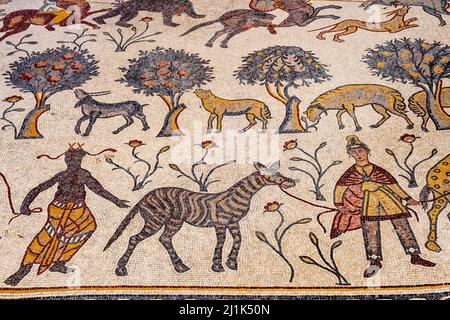 Mosaici colorati all'interno della Chiesa commemorativa di Mosè, il Monte Nebo, Giordania. Foto Stock