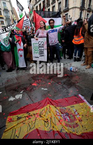 Madrid, Spagna. 26th Mar 2022. Davanti al Ministero degli Affari Esteri di Madrid si sono manifestate 2000 persone per il turno del governo nella posizione relativa al Sahara occidentale, tra centinaia di bandiere della Repubblica democratica araba del Sahara. A causa di quel presidente del governo Pedro Sánchez ha inviato al re marocchino Mohamed VI una lettera in cui il presidente spagnolo afferma che il piano di autonomia proposto dal Marocco è il più “serio, realistico e credible. Questa posizione ha suscitato critiche in Spagna, in quanto si rompe con la sua tradizionale neutralità sul territorio. Credit: dpa picture all Foto Stock