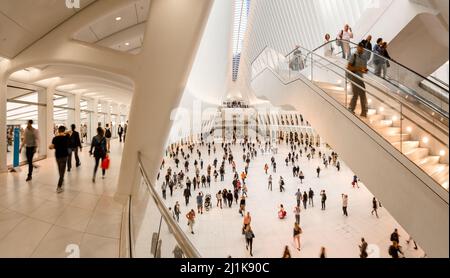 Vista interna dell'Oculus, Westfield World Trade Center. Centro di trasporto a New York. Lower Manhattan, quartiere finanziario Foto Stock