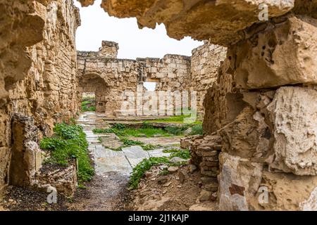 Rovine di Salamis a Yeni Boğaziçi, Repubblica Turca di Cipro del Nord (TRNC) Foto Stock