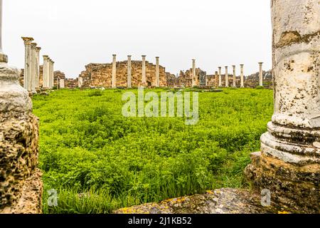 Rovine di Salamis a Yeni Boğaziçi, Repubblica Turca di Cipro del Nord (TRNC) Foto Stock