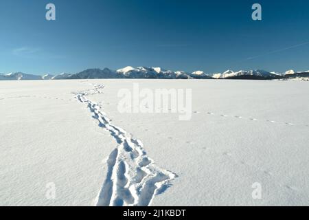 Impronte nella neve e le cime di montagna. Verso il cielo Foto Stock