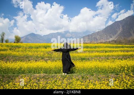 Srinagar, India. 24th Mar 2022. Una ragazza di Kashmiri si pone per una foto in un campo di senape in una soleggiata giornata di primavera nella periferia di Srinagar. Senape e mandorla sono importanti colture in contanti nella valle. Mentre il sole luminoso bagna la regione dopo un inverno duro e tetro, cieli blu e clima allegro approccio e nuove fioriture come mandorle, pesche, pere, ciliegie e i fiori di senape giallo brillante dipingono una sommossa di colori sulla tela della natura, dare freschezza all'aria e una fragranza dolce ''' che segnala l'arrivo della primavera. (Credit Image: © Faisal Bashir/SOPA Images via ZUMA Press Wire) Foto Stock