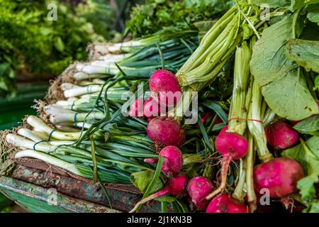 Mercato vegetale a Çatalköy, Repubblica turca di Cipro del Nord (TRNC) Foto Stock