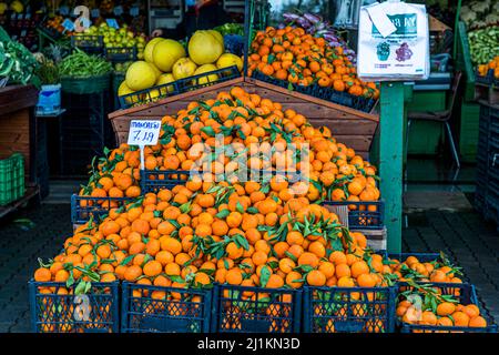 Cipro è un paradiso per gli agrumi. A Cipro, gli ortofrutticoli freschi non hanno lunghe rotte di consegna. Tutto cresce sull'isola e viene offerto decorato con gusto. Repubblica turca di Cipro del Nord (TRNC) Foto Stock