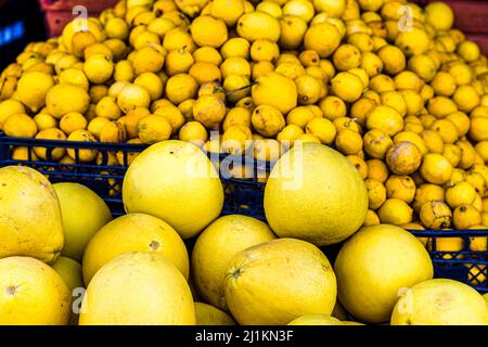 Cipro è un paradiso per gli agrumi. Repubblica turca di Cipro del Nord (TRNC) Foto Stock