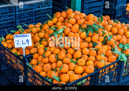 Cipro è un paradiso per gli agrumi. Repubblica turca di Cipro del Nord (TRNC) Foto Stock