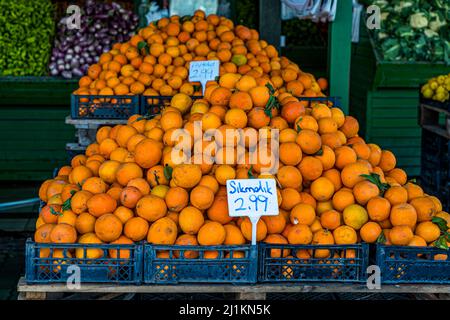 Cipro è un paradiso per gli agrumi. Repubblica turca di Cipro del Nord (TRNC) Foto Stock
