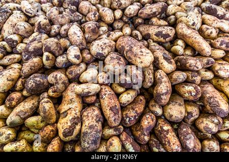 Mercato vegetale a Çatalköy, Repubblica turca di Cipro del Nord (TRNC) Foto Stock