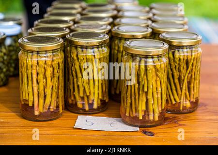 Nel villaggio di Akdeniz, che tradotto significa Mar Mediterraneo, si ottiene un'impressione di vita tipica cipriota paese. il 30 per cento degli abitanti del villaggio vive di asparagi verdi, il raccolto del quale dura tre mesi Foto Stock