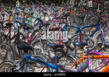 Bicicletta a noleggio presso il parco delle rovine di Cobá, Messico Foto Stock