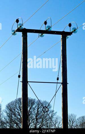 Un pilone rurale di legno di elettricità che trasporta tre linee di alimentazione ad alta tensione attraverso un campo, girato indietro illuminato contro un cielo blu luminoso. Foto Stock