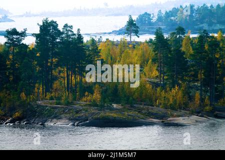 Scudo cristallino del Baltico, esker. Paesaggio glaciato (lacciamento glaciale). capo di pietra, pietra del sheepback con la betulla di autunno piccola, pini nani in Lad del nord Foto Stock