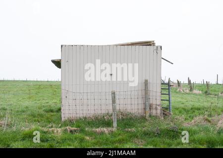rifugio per animali da fattoria su terreno agricolo Foto Stock