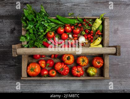 Ingredienti di salsa raccolti freschi dal Giardino Foto Stock