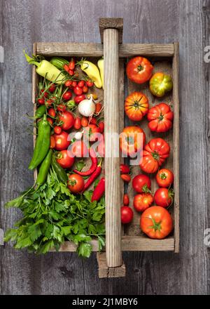 Ingredienti di salsa raccolti freschi dal Giardino Foto Stock