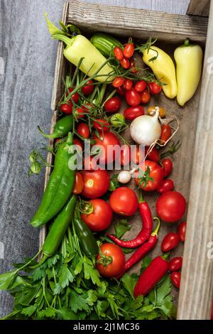 Ingredienti di salsa raccolti freschi dal Giardino Foto Stock