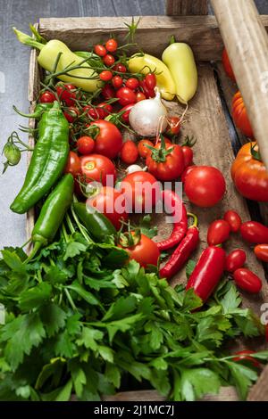 Ingredienti di salsa raccolti freschi dal Giardino Foto Stock