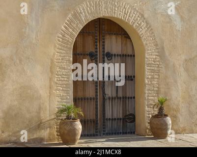 Unico vecchio portone in legno con due pentole contenenti piantatrici su entrambi i lati della porta con piccole piante verdi Foto Stock