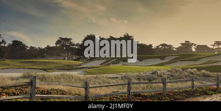 Il 13th verde sul campo da golf numero uno nel mondo - Cypress Point - sul famosissimo 17 Mile Drive in Pebble Beach, CA., USA Foto Stock