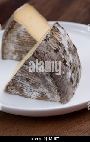 Formaggio di montagna francese dalle Alpi, tomme de Savoie, primo piano Foto Stock