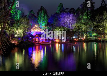 Pukekura Park a New Plymouth, Nuova Zelanda. Gli alberi intorno al lago sono stati colorati illuminati per l'annuale Festival delle luci Foto Stock