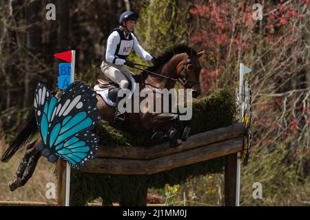 Raeford, Carolina del Nord, Stati Uniti. 26th Mar 2022. WILLIAM COLEMAN degli Stati Uniti che cavalcano Dondante compete in CCI4* cross country al Carolina International CCI and Horse Trial, 26 marzo 2022 al Carolina Horse Park a Raeford, North Carolina. Il Carolina International CCI and Horse Trial è uno dei principali concorsi di eventi del Nord America per le combinazioni di eventi nazionali e internazionali, che ospita da CCI1*-S a CCI4*-S livelli e National Levels of Training through Advanced. (Credit Image: © Timothy L. Hale/ZUMA Press Wire) Foto Stock